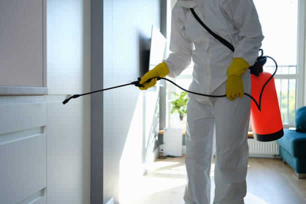 Best Residential Mold Removal  in Ronan, MT